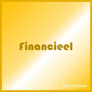 Red Harbour Financiën voor Startups