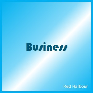 Red Harbour Startup Business Expertise